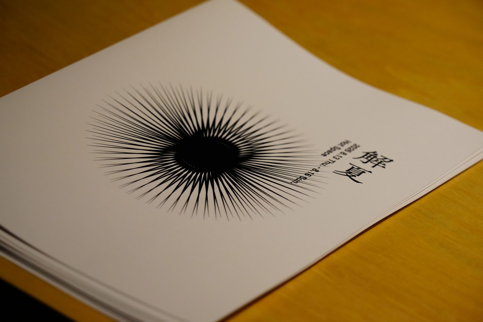 解夏 (Gege) 展示風景 / installation view 4