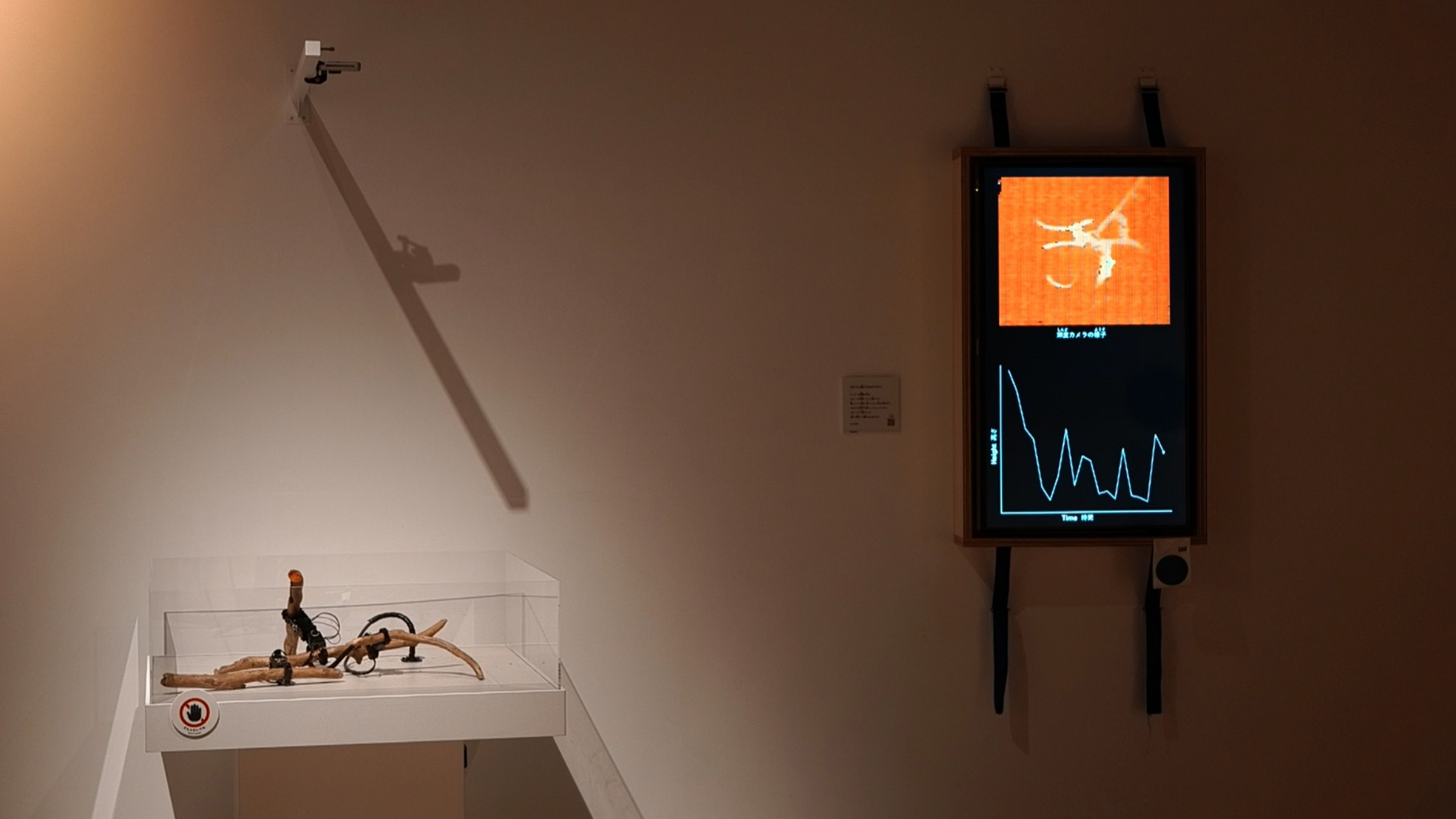 Project B placeholder